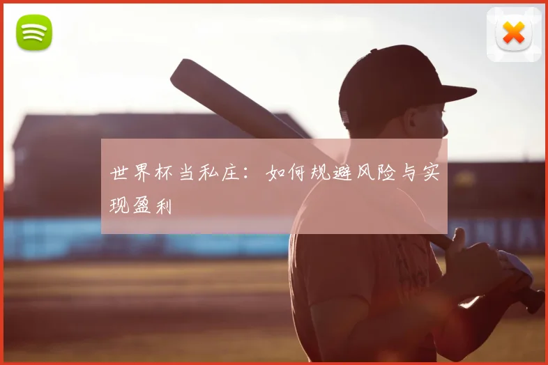 世界杯当私庄：如何规避风险与实现盈利