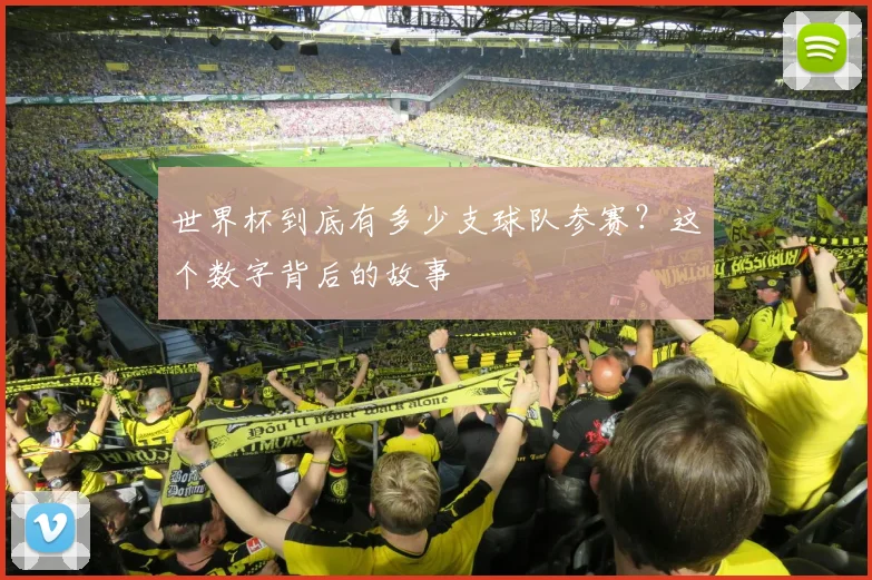 世界杯到底有多少支球队参赛?这个数字背后的故事