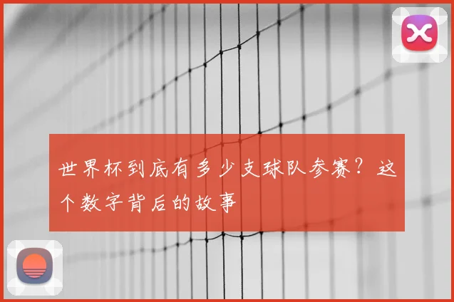 世界杯到底有多少支球队参赛？这个数字背后的故事