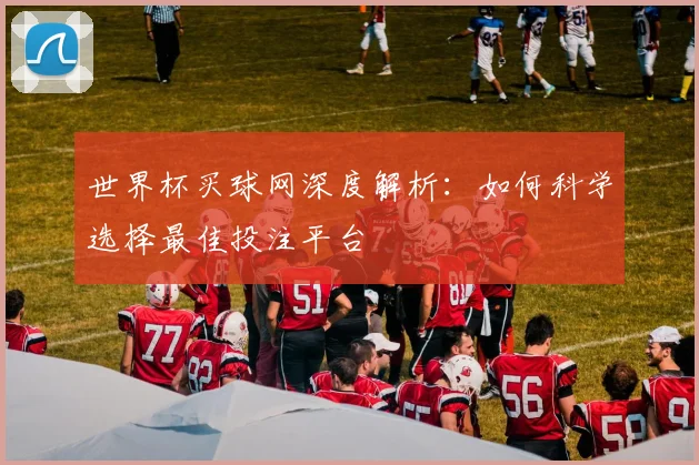 世界杯买球网深度解析：如何科学选择最佳投注平台