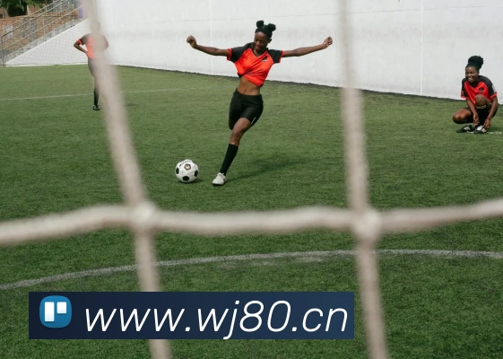 mksports官方登录入口平台生态图